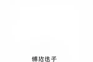 《潮汐图书馆》配乐录制时的琴键特写